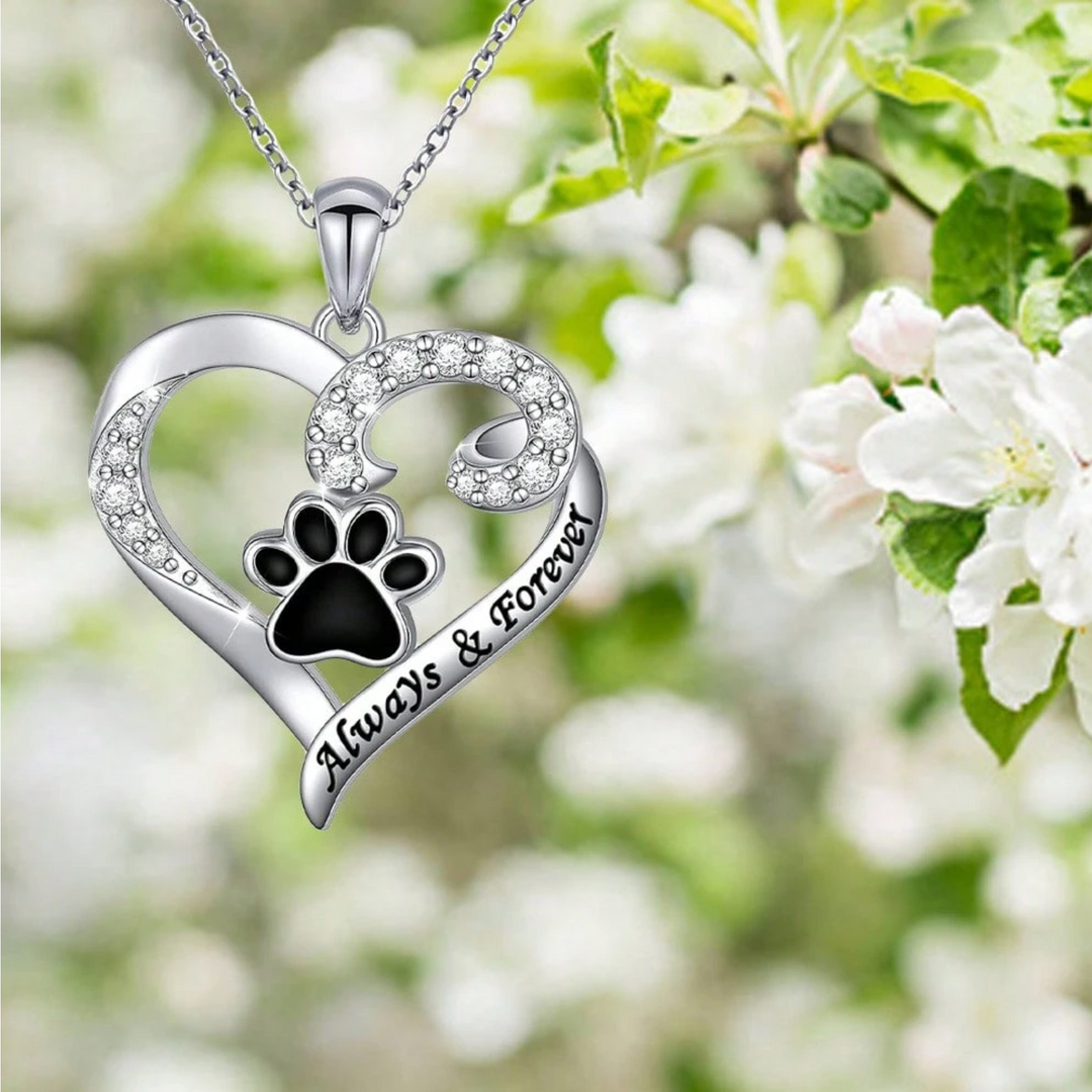 Collana a Forma di Zampa di Cane – Design a Cuore in Acciaio Inossidabile con Zirconia