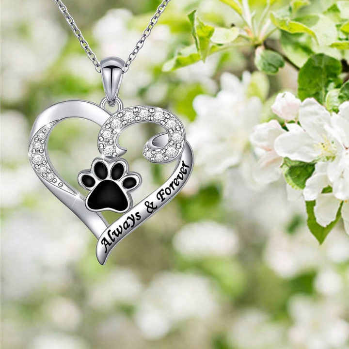 Collana a Forma di Zampa di Cane – Design a Cuore in Acciaio Inossidabile con Zirconia